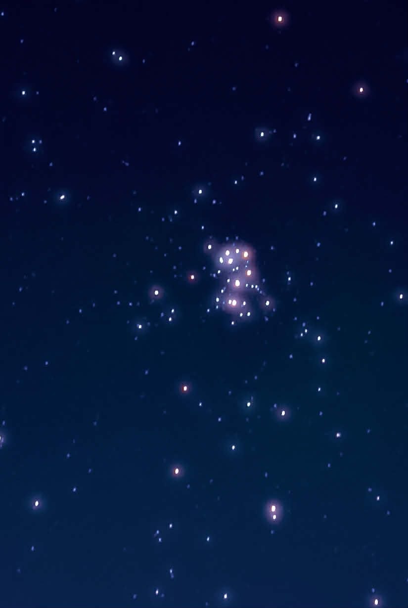 Pleiades Star Cluster